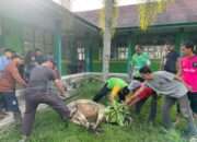 Syiar Islam, MTsN 7 Padang Sembelih Hewan Kurban