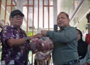Perkuat Kepedulian Sosial dan Perkokoh Silaturahmi, MAN 1 Padang Sembelih Hewan Kurban