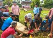 Kurban, Kankemenag Solsel Sembelih 7 Sapi dan 2 Kambing