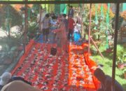 Kurban, MTsN 2 Solok Sembelih 3 Sapi