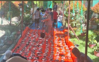 Kurban, MTsN 2 Solok Sembelih 3 Sapi