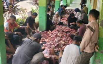 Bangun Karakter Gemar Berbagi, MTsN 3 Pessel Sembelih Empat Ekor Sapi Kurban
