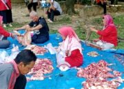 Wujudkan Kepedulian Sosial, ASN MAN 2 Pasaman Gelar Ibadah Kurban