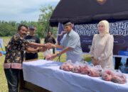 71 Hewan Kurban Disembelih di Nagari Gunung Medan, Warga Antusias Sambut Iduladha