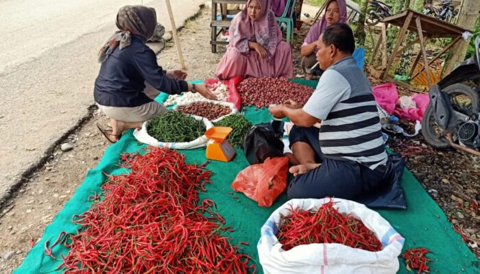 Pemkab Dharmasraya Gelar Pasar Murah, Bantu Warga Dapatkan Sembako Terjangkau