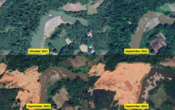 Walhi Rilis Citra Satelit Tambang Ilegal Sijunjung : Kerusakan Bertambah Parah dari Tahun ke Tahun