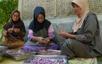 Sumatera Barat Masuki Fase Penuaan Penduduk
