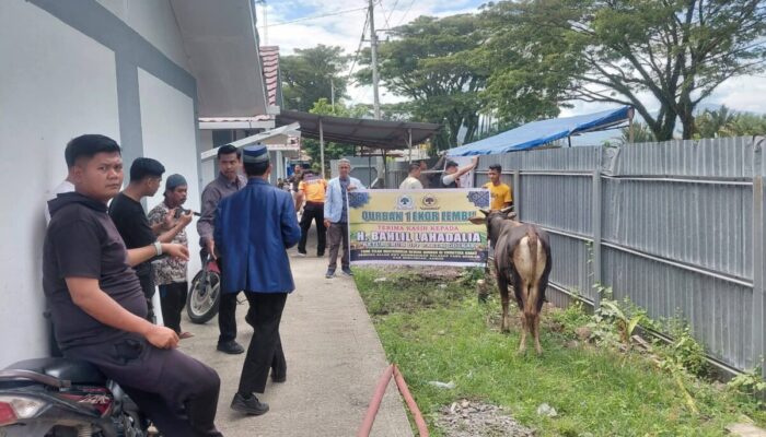 Huntara Lubuk Buaya Terima Bantuan Tiga Ekor Sapi Kurban