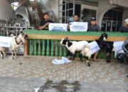 FIFGROUP Solok Salurkan Hewan Kurban untuk Warga Tanjung Paku