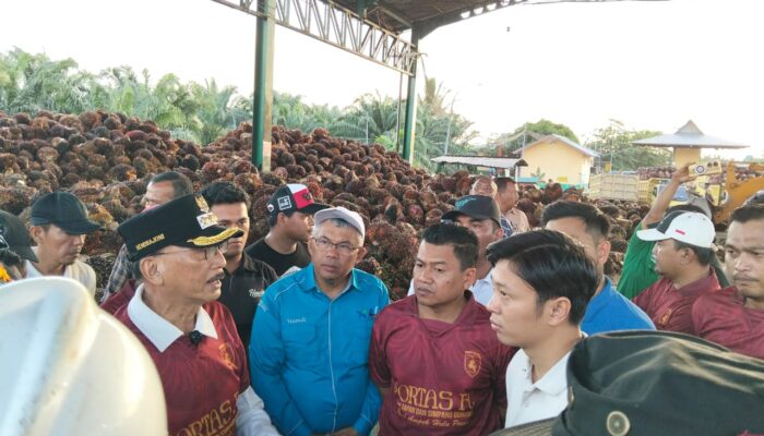 Bupati Sidak Pabrik Sawit di Tapan, Harga Sawit di Pessel Tak Boleh Turun