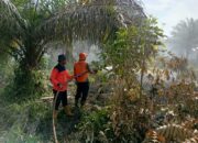 Perkembangan Situasi dan Penanganan Bencana di Tanah Air Tanggal 10 Juni 2026