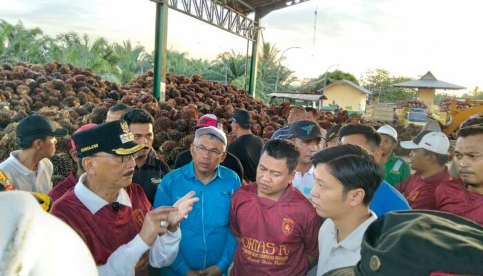 Bupati Hendrajoni Sidak Pabrik Sawit di Tapan, Harga Sawit di Pessel Tak Boleh Turun
