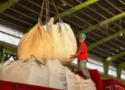 Kian Agresif Kembangkan Bisnis Nonsemen, PT Semen Padang Garap Industri Pulp dan Kertas hingga Peningkatan Kapasitas Sepablock