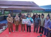 Pemkab Dharmasraya Serahkan Bantuan Alsintan dan Benih Padi pada Kelompok Tani di Sitiung