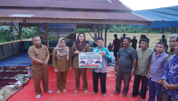 Pemkab Dharmasraya Serahkan Bantuan Alsintan dan Benih Padi pada Kelompok Tani di Sitiung
