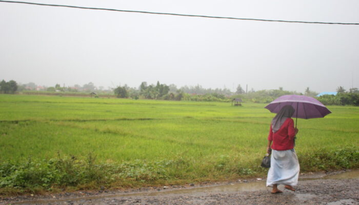 Sumbar Berpacu dengan Laju Alih Fungsi Lahan