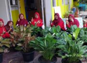 Dukung Ekoteologi, MAN 1 Tanah Datar Menanam dan Rawat Lingkungan Sepenuh Hati