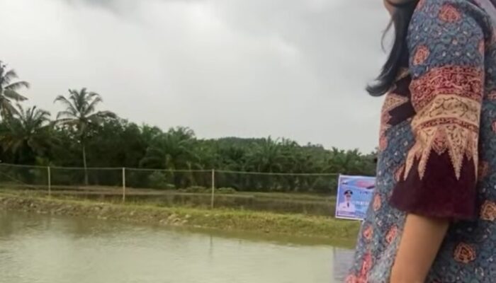 Program OVOP Komoditas Ikan di Dharmasraya Mulai Dilaksanakan