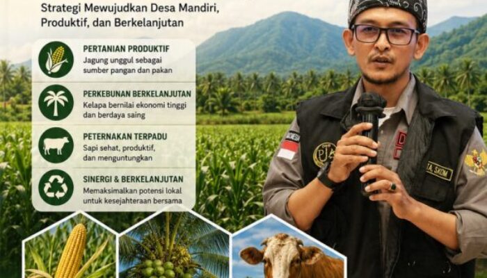 Wali Nagari Lareh Nan Panjang Perkenalkan Model Integrasi Jagung–Kelapa–Sapi, Dorong Kemandirian Ekonomi Desa