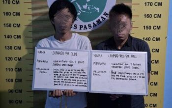Satresnarkoba Polres Pasaman Ringkus Dua Pengedar Sabu dan Ganja di Padang Gelugur