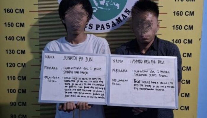 Satresnarkoba Polres Pasaman Ringkus Dua Pengedar Sabu dan Ganja di Padang Gelugur