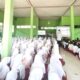 Pembukaan Matamuda MTsN 5 Pesisir Selatan Secara Daring