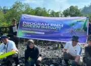 PENANAMAN MANGROVE SERENTAK, PNM Tanam 1.000 Mangrove di Sungai Pinang, Perkuat Ketahanan Pesisir