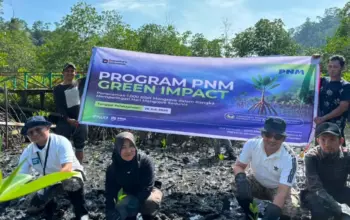 PENANAMAN MANGROVE SERENTAK, PNM Tanam 1.000 Mangrove di Sungai Pinang, Perkuat Ketahanan Pesisir