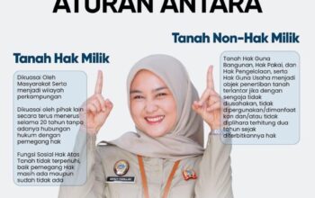 Sertifikat