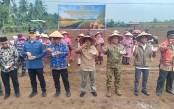 TNI