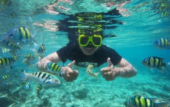 Pesona Pamutusan: Saat Rimba Hijau dan Laut Jernih Menyatu di Padang