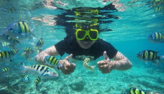 Pesona Pamutusan: Saat Rimba Hijau dan Laut Jernih Menyatu di Padang