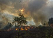 Alat Pemantau Kualitas Udara Mati Saat Hotspot Karhutla Melonjak, WALHI Sentil Anggaran Rumah Dinas Wagub Sumbar