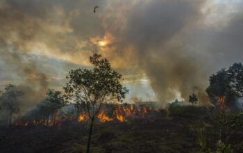 Alat Pemantau Kualitas Udara Mati Saat Hotspot Karhutla Melonjak, WALHI Sentil Anggaran Rumah Dinas Wagub Sumbar