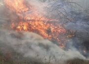 Perkembangan Situasi dan Penanganan Bencana di Tanah Air Pada 7 Agustus 2026