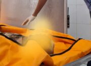 RS M. Djamil Cari Keluarga Pria Korban Laka Simpang Gadut, Enam Hari Belum Teridentifikasi
