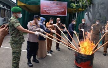 Bupati Pasaman Tegaskan Perang terhadap Narkotika Harus Diperkuat dari Penindakan hingga Pencegahan