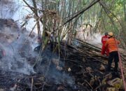 Perkembangan Situasi dan Penanganan Bencana di Tanah Air per Tanggal 25 Agustus 2026