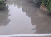 Diduga Tercemar Limbah PT DSL, Warga Koto Salak Keluhkan Air Batang Siat Keruh dan Menghitam