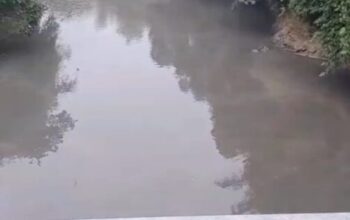 Diduga Tercemar Limbah PT DSL, Warga Koto Salak Keluhkan Air Batang Siat Keruh dan Menghitam