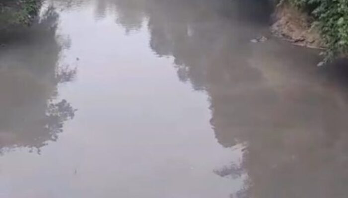Dugaan Pencemaran Sungai Batang Siat oleh PT. DSL, Dinas Lingkungan Hidup Dharmasraya Turun ke Lokasi