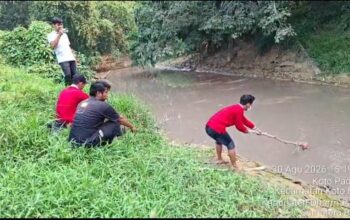Dugaan Pencemaran Limbah di Sungai Koto Balai, DLH Ambil Sampel Air