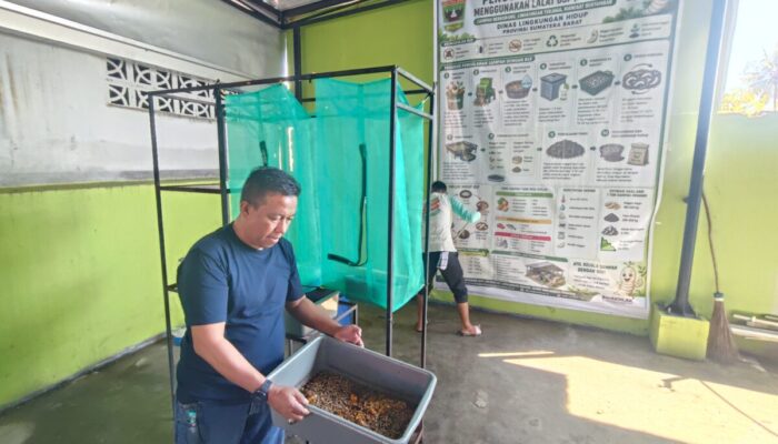 Lawan Sampah dari Hulu, DLH Sumbar Mulai Budidayakan Maggot BSF