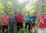 BPN Lakukan Pengukuran Titik Koordinat MTsN 4 Sijunjung untuk Pembaruan Sertifikat
