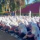 MAN 4 Pasaman Barat Peringati Maulid Nabi Muhammad SAW