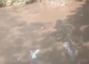 Sungai Koto Balai Kembali Menghitam, Warga Duga Tercemar Limbah Pabrik Sawit