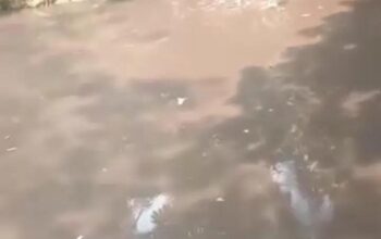 Sungai Koto Balai Kembali Menghitam, Warga Duga Tercemar Limbah Pabrik Sawit