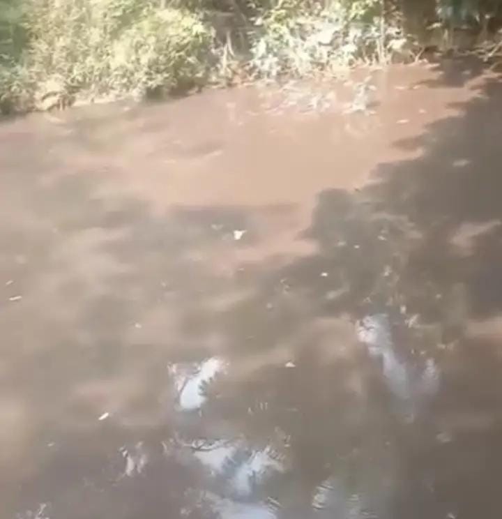Sawit