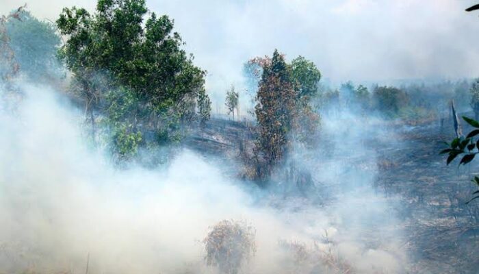 Sumbar Dikepung Hotspot, Kualitas Udara Masih dalam Batas Terkendali