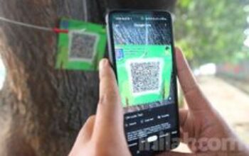 Adopsi Pohon di DAS Sianok Pakai Tree ID, Adopter Bisa Pantau “Pohon Sendiri”